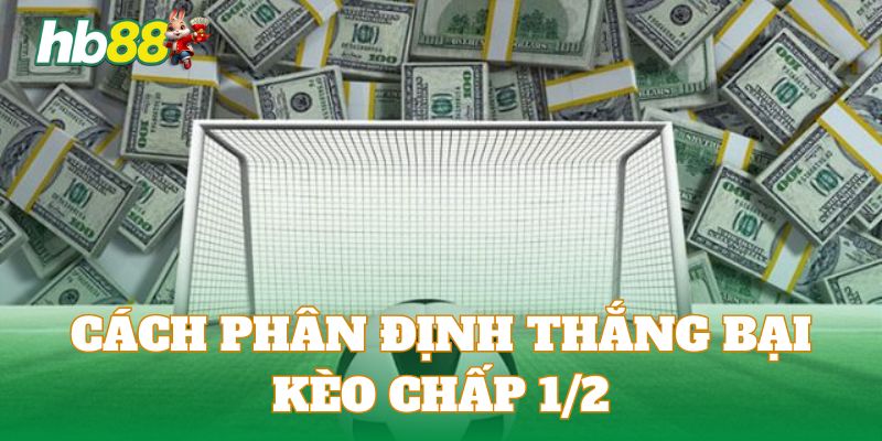 Hướng dẫn người chơi mới cách phân định thắng thua trong kèo chấp 1/2 