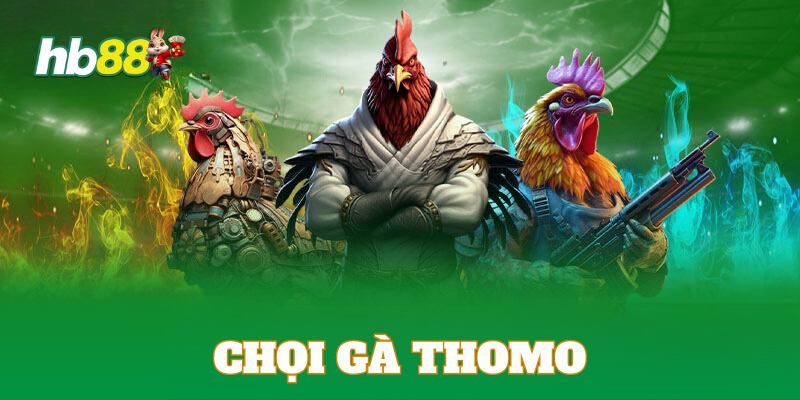 Giới thiệu đá gà trực tuyến Thomo Campuchia