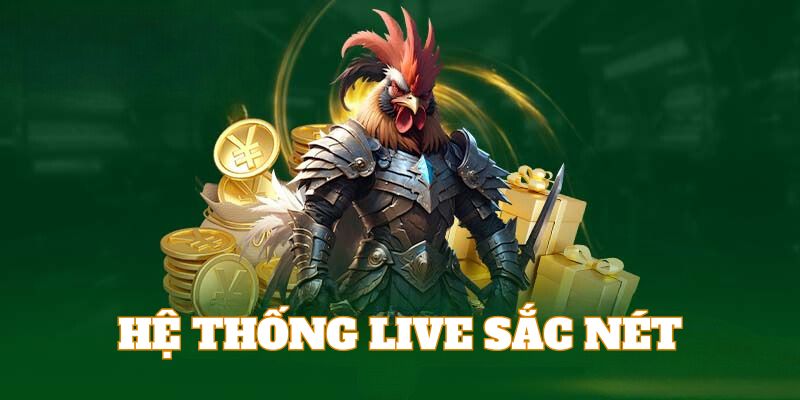 Hệ thống Live trận đấu sắc nét là ưu điểm của đá gà HB88 