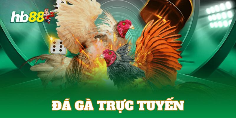 Đá Gà Trực Tuyến