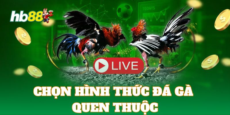 Hội viên nên chọn chơi đá gà trực tuyến ở loại hình quen thuộc